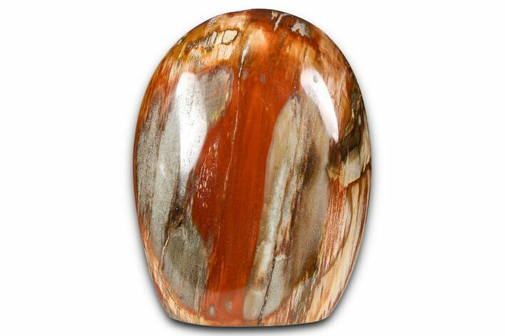 Freestanding, Polished Petrified Wood - Madagascar #384380
